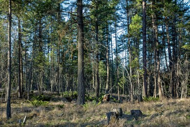 2019_04_30 Whitefish Hills-1-2