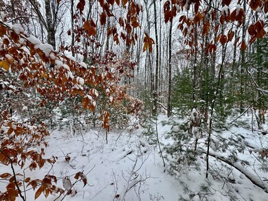 0 Preston Hill Rd, Camden, NY 13316 - photo 7