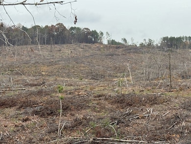 606 County Road 442, Oxford, MS 38655 - photo 3