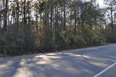 24182 Highway 22, Ponchatoula, LA 70454 - photo 6