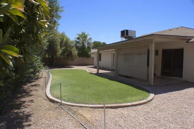 Backyard 1