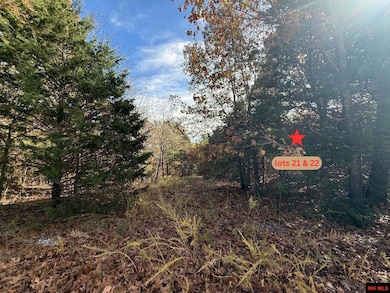 002-11055-016 Buckhead Ln, Mountain Home, AR 72653 - photo 6