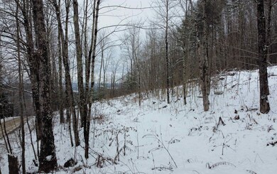 431 Bible Hill Rd, Saint Johnsbury, VT 05819 - photo 5