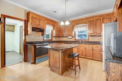 19-450 Christmas Light Rd-19