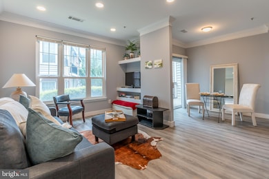 1530 Spring Gate Dr unit 9121, McLean, VA 22102 - photo 5