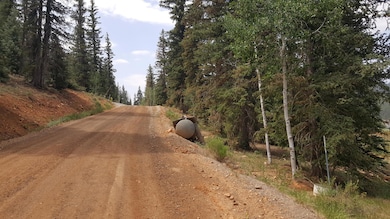 365 N Apache Trail unit lots 152, 154 Swains, Duck Creek, UT 84762 - photo 7