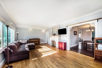 923 N Hudson St SE, Lowell, MI 49331 - photo 5