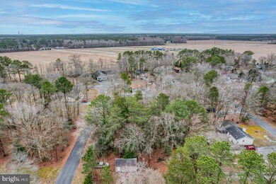 C19 Brach St, Georgetown, DE 19947 - photo 3