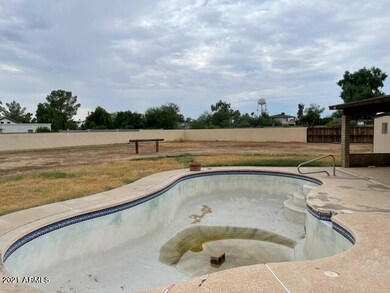 Backyard___