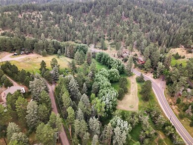 5411 Parmalee Gulch Rd, Indian Hills, CO 80454 - photo 5