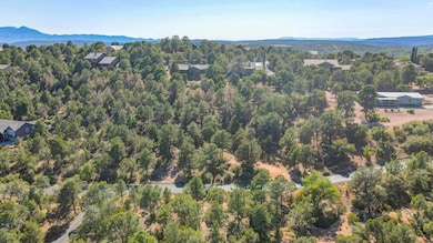 dji_fly_20250626_155240_69_1751065426735