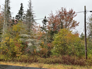 253 Hathorne Point Rd, Cushing, ME 04563 - photo 4