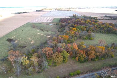 0 1380 E, Kane Township, IL 62054 - photo 3