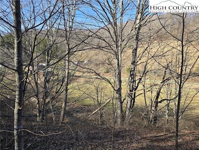 0 Roundabout Rd unit 23357348, Creston, NC 28615 - photo 5