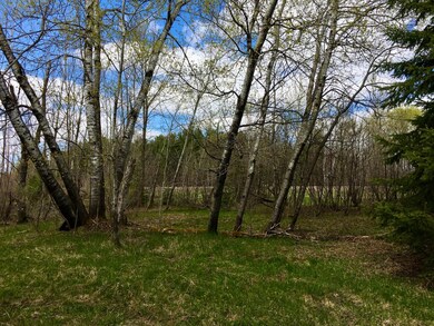W9081 Hwy 86, Tomahawk, WI 54487 - photo 6