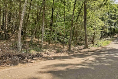 Lot 36 Mauhaut Shores Rd, Alton, NH 03810 - photo 2