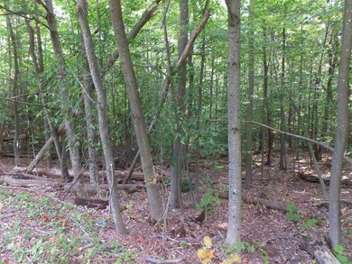 30 Catamount Rd, Pittsfield, NH 03263 - photo 4