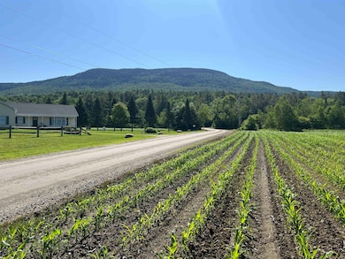 Directly adjacent Elmore Mtn view looking east