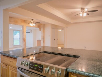 3937 Country Meadows Rd, Granbury, TX 76049 - photo 4