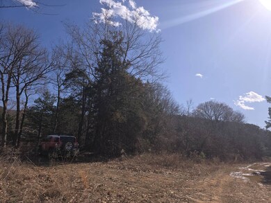 0000 W Howlite Loop, Leguire, OK 74944 - photo 3