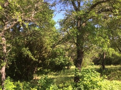 View of local wilderness