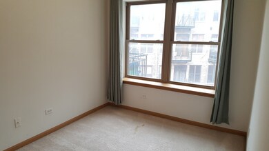 2322 S Canal St unit 407, Chicago, IL 60616 - photo 7