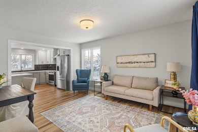 4705 Forest Grove Ct, Davenport, IA 52807 - photo 6