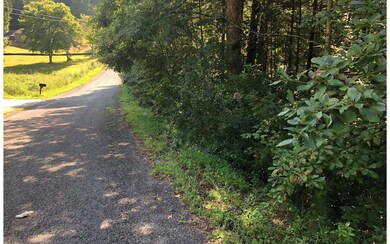LT 29 Crabapple Ln, Ellijay, GA 30540 - photo 4