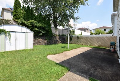 (3)Back Yard