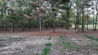 dji_fly_20251106_165430_0449_17630797088