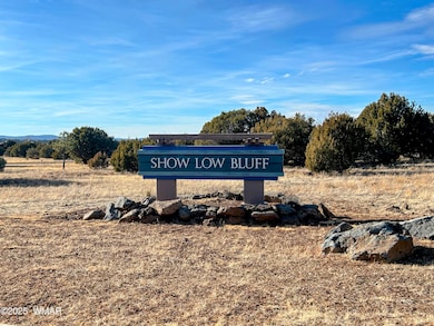 1081 S Ridgeway Place, Show Low, AZ 85901 - photo 3