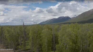 9603 E Hatcher's Landing Ave, Palmer, AK 99645 - photo 6