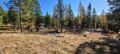 160 Torto Loop, Kila, MT 59920 - photo 4