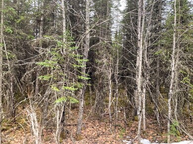 IMG_0839