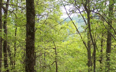 Additional View