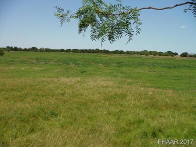 Tract 8 Private Road 3642, Kempner, TX 76522 - photo 4