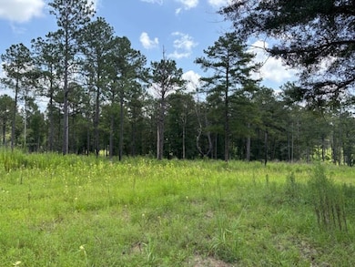 182 Highway 44, Jayess, MS 39641 - photo 6