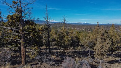 DJI_0521