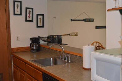 5 Northbrook Village Rd unit E-15, Dover, VT 05356 - photo 3