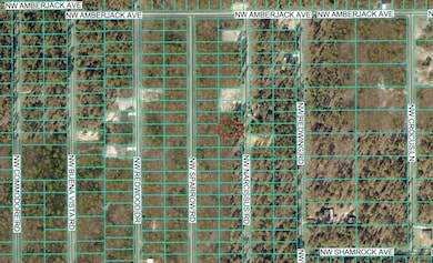 TBD Narcissus Rd, Dunnellon, FL 34431 - photo 3