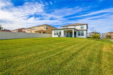 Large Backyard