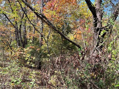 0 Snyder Ln unit 1259475, Bella Vista, AR 72714 - photo 4