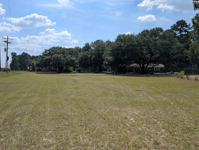 649 Laurel Rd, Lexington, SC 29073 - photo 3