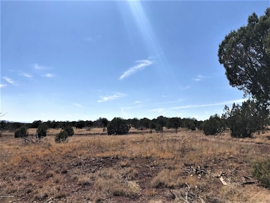 48275 N Steve Ln, Ash Fork, AZ 86320 - photo 3