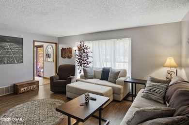 328 Briarbrook Dr, Carl Junction, MO 64834 - photo 5