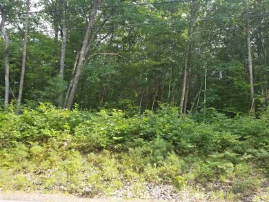 34a Forest Pond Rd, New Hampton, NH 03256 - photo 2