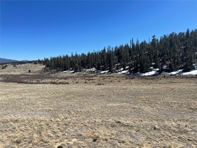 3233 Remington Rd, Como, CO 80456 - photo 2