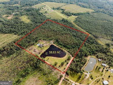 3 Chestnut Rd, Hazlehurst, GA 31539 - photo 3