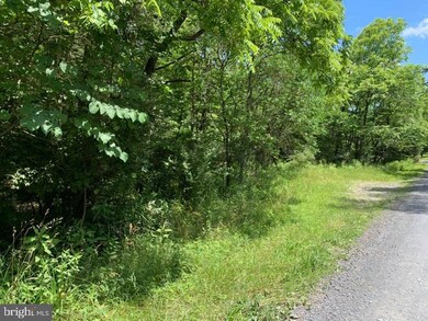 TBD Supinlick Ridge, Edinburg, VA 22824 - photo 7