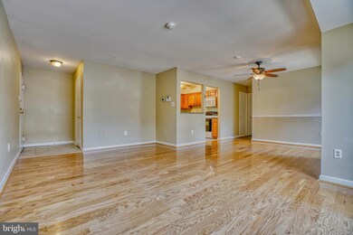 8877 Tamebird Ct, Columbia, MD 21045 - photo 6